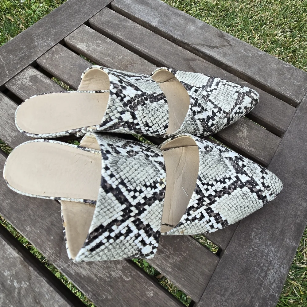 Coconuts by MATISSE Shay Snake Print Pointed Mules 9 - Picture 2 of 7